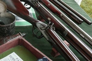 Historic Gun Stylised